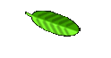 Magendarmtee